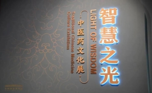“智慧之光——中医药文化展”在国博开幕